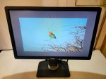 Dell P2213t 22  Professional Widescreen 1680 x 1050 LCD Monitor DVi VGA USB DP Online now